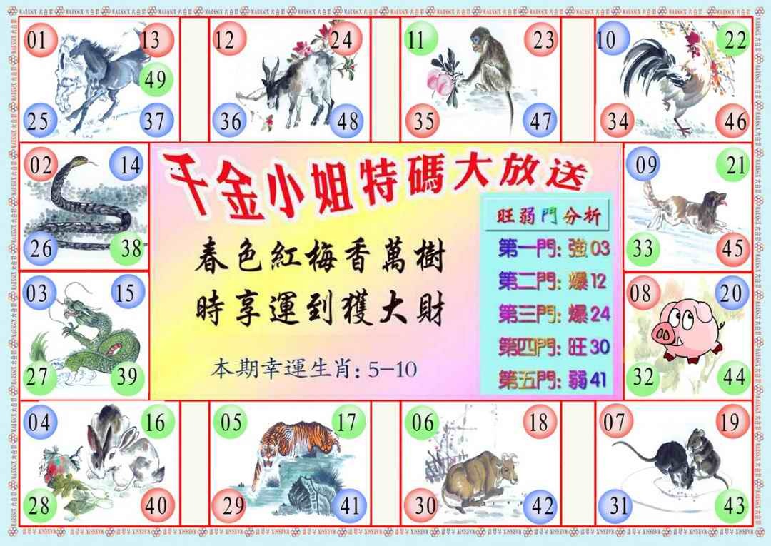 031期千金小姐B版[图]