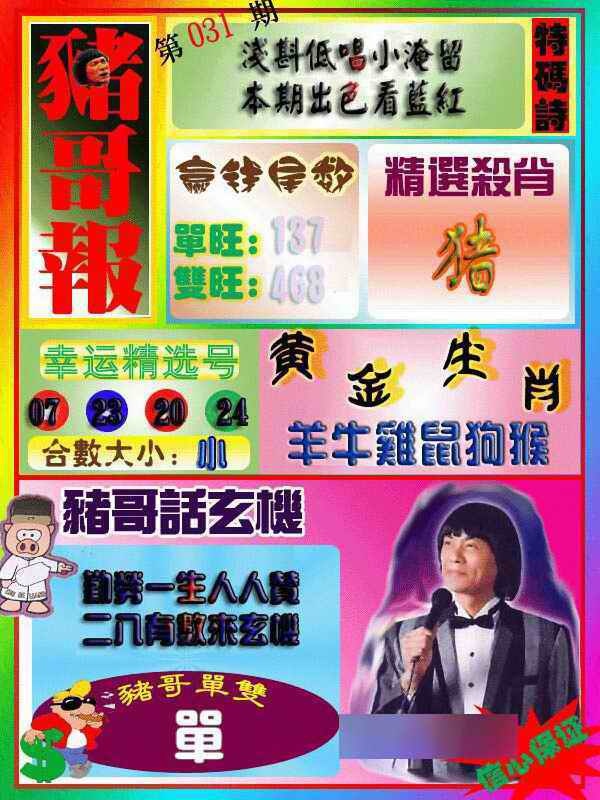 031期猪哥报[图]